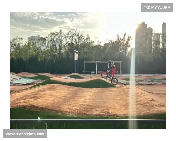 BMX文化展在上海西岸举行，展示小轮车从街头到奥运历程