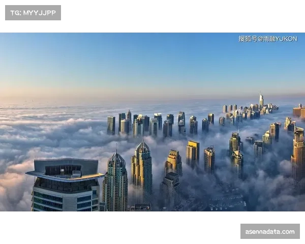 法国职业足球联盟与中东航空企业就袖标广告赞助展开新一轮谈判